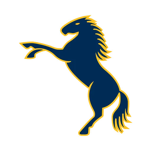 Brumbies