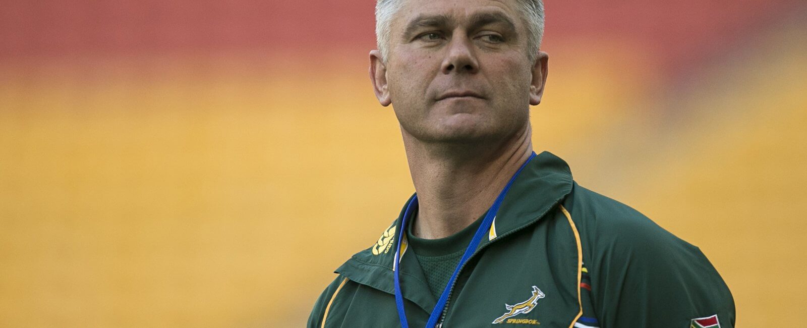 Heyneke Meyer, former Springbok coach