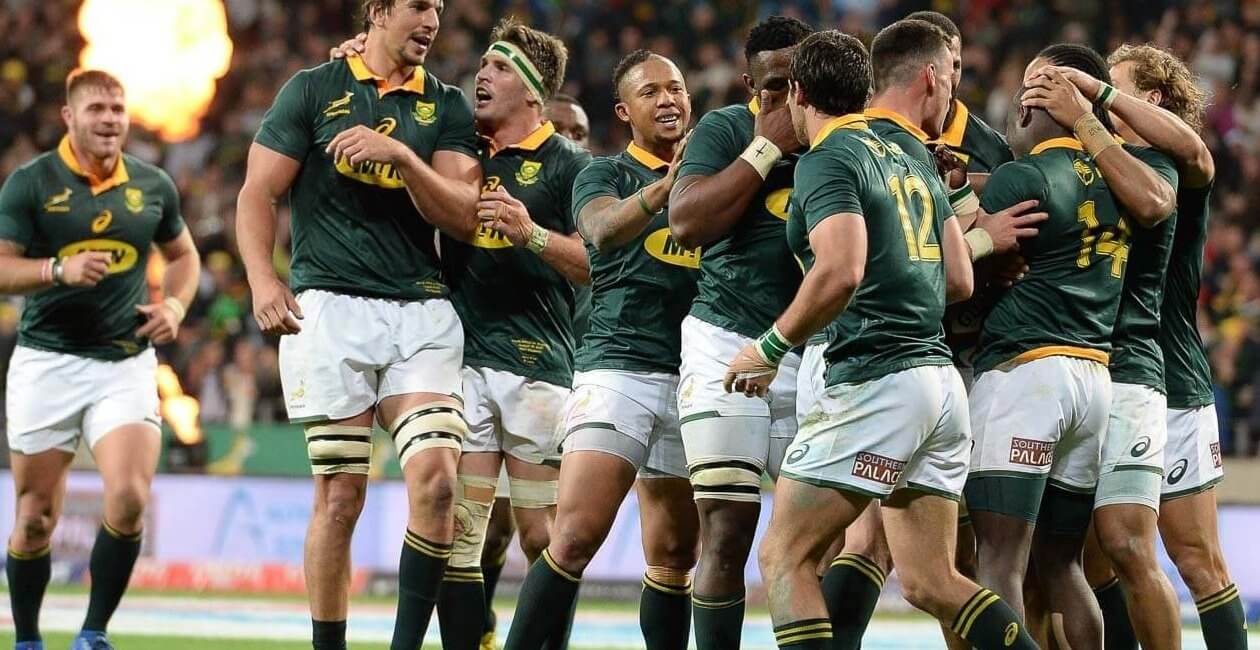 springbok rugby